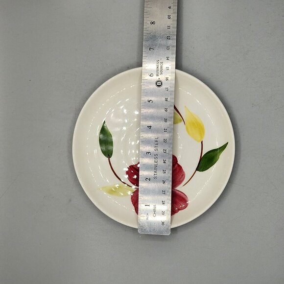 Vintage  1950's Rio Stetson Cup and Saucer Floral Farmhouse  Cottage Dinnerware - Picture 7 of 9